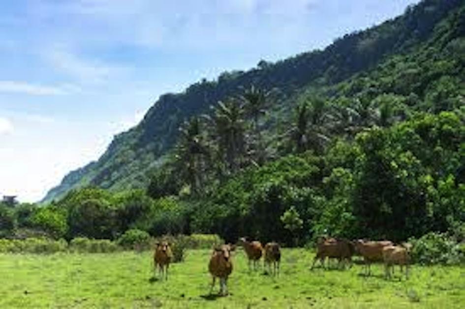 Maya Rustic Ξενοδοχείο Uluwatu Εξωτερικό φωτογραφία